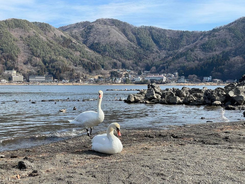 再び最期の河口湖へ4