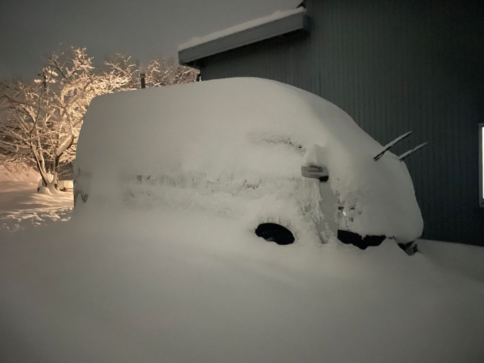 交通障害に気をつけようZ!1
