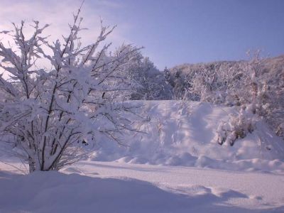 冬の風景8